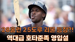 28홈런 25도루 괴물 등장 한화 역대급 호타준족 외야수 영입설 [upl. by Nemra270]