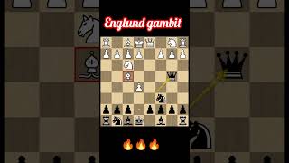 Englund gamebitopening trap chess youtubeshorts chesstalkbangla [upl. by Ahsek275]