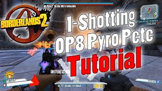 Borderlands 2  1Shotting OP8 Pyro Pete  Tutorial [upl. by Arreic]