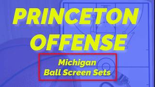 Michigan Ball Screen Sets [upl. by Hach]