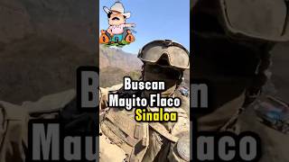 Buscan a mayito flaco en Sinaloa mexico narcosmexico narcos mayitoflaco sinaloa culiacan [upl. by Pellet]