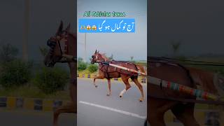 Pakistan horse racing champions [upl. by Ydok]