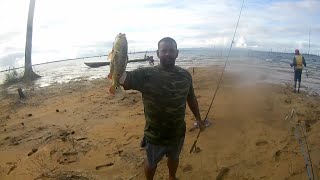 toekoenarie vissen in het Stuwmeer Suriname [upl. by Lamprey]