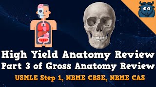 High Yield Anatomy Review Part 3 USMLE Step 1 NBME CBSE and NBME CAS [upl. by Kirbee598]