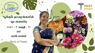 Morphology of Flowering plants  Part 7  Flower  Parts of Flower  NEET Tamil  NEET Biology [upl. by Jael]