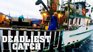 Unbelievable Catch with Help from Dolphins  Deadliest Catch  Discovery [upl. by Buffum]