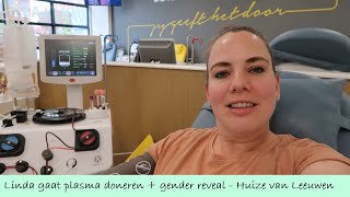 LINDA GAAT PLASMA DONEREN  GENDER REVEAL  HUIZE VAN LEEUWEN [upl. by Ednutabab]