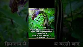 😮 Nature FactsAmazing Knowledge factsBest FactsBest Facts Hindi [upl. by Egnalos]