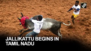 Jallikattu begins at Avaniyapuram village in Madurai [upl. by Hcone]