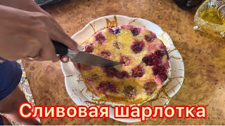 ПРОСТО И ВКУСНО👍 СЛИВОВАЯ ШАРЛОТКА В ДУХОВКЕ🥮☕️ [upl. by Podvin]