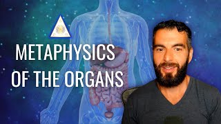 Metaphysical Properties of The Organs [upl. by Sonnnie758]