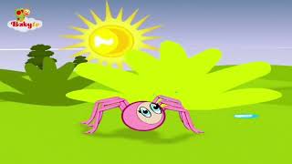 insy wincy spider coconut nursery rhymes [upl. by Abrahams]