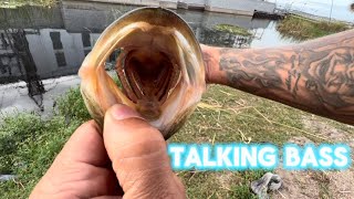 Talking Bass amp Smack talking nature sports fish fishingsports bassfishing fishing [upl. by Eelrak]