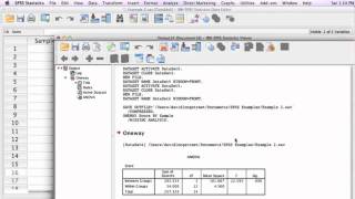 How to calculate a One Way Anova using SPSS Analysis of Variance [upl. by Curcio14]