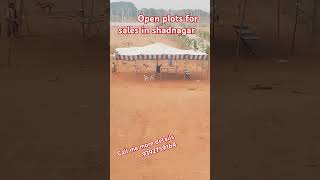 open plots in shadnagar Hyderabad  HIGH APPRACTION PLOTS  Ready to Construction plots shadnagar [upl. by Enoed]