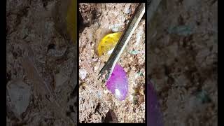 Digging crystal stone satisfying crystal agate opal gemstone quartz stone [upl. by Htebzile]