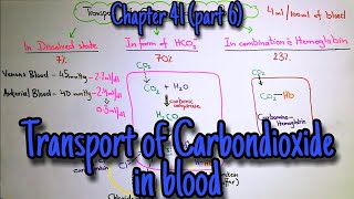 Transport of CO2 in blood Haldane Effect Respiratory exchange ratio Chapter 41 part 6 Guyton [upl. by Bowe]