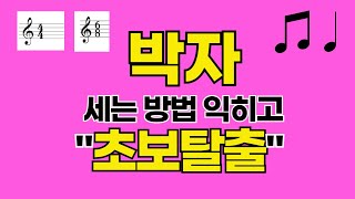 박자읽는법박자세기박자 맞추기박자치기메트로놈 박자연습 박자읽는법 박자세기 박자 맞추기 [upl. by Retrak]