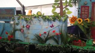 Mr Blooms Nursery LIVE  Meet the Veggies [upl. by Hareehahs365]