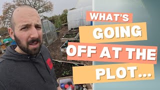 Whats going on at the allotment in mid November [upl. by Geerts]