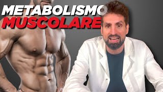 Il metabolismo muscolare lezione di biochimica [upl. by Adanama110]