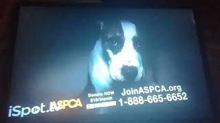 ASPCA TV Commercial quotEvery Day In Americaquot 2022 [upl. by Ydoow604]