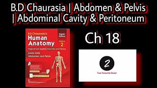 Abdominal Cavity and Peritoneum  Abdomen and Pelvis Anatomy  Chapter 18  BD Chaurasia [upl. by Eladnar]