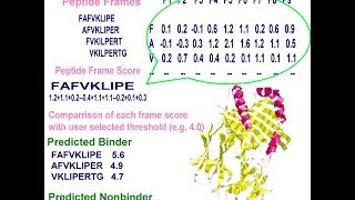 Bioinformatics practical introduction [upl. by Aisad]