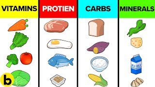 How The Six Basic Nutrients Affect Your Body [upl. by Nikolaus835]