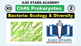 Ecology and Diversity of Bacteria Class 11 Biology Chapter 6 Prokaryotes [upl. by Ahseid]