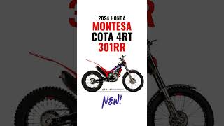 Montesa cota 4RT250R初乗りちょっと近所のお山まで [upl. by Tsan]