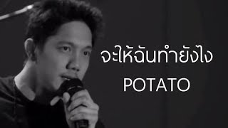 🎵 จะให้ฉันทำยังไง  โปเตโต้ POTATO LIVE 2016 [upl. by Sivatco749]