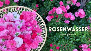 Rosenwasser selber machen  Hydrolat ohne Destille herstellen  DIY NaturkosmetikGesichtswasser [upl. by Ruberta35]