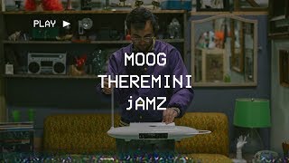 MOOG THEREMINI jAMZ [upl. by Llehsal]