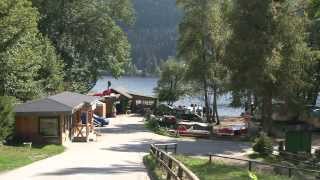 Naturcampingplatz Weiherhof am Titisee [upl. by Catherina]