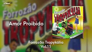 Forrozão Tropykália  Vol 11  Amor Proibido [upl. by Scheld723]