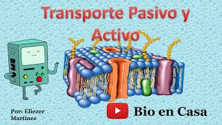 TRASPORTE PASIVO Y ACTIVO a través de la membrana plasmática [upl. by Attenreb]