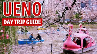 Ueno Park and beyond a walking tour [upl. by Ynnub108]