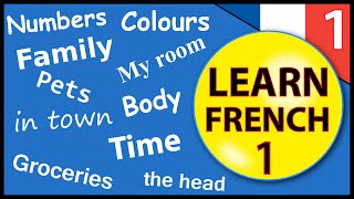 Learn French for beginners Lesson 1 [upl. by Aohk624]