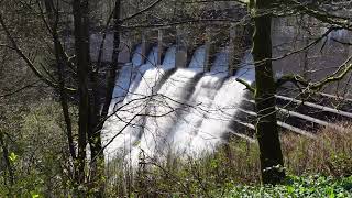 dam spillway overflowing 2024 [upl. by Milissent]