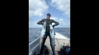 Spearfishing Boa Vista Cabo Verde Part 1 Blue water  Wahoo [upl. by Georgette]