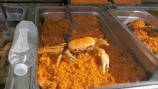 Una aventura en el festival jueyero de Maunabo Puerto Rico 🇵🇷 🦀🦀🥰😎✌️ [upl. by Sapienza]