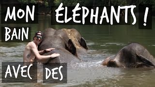 MON BAIN AVEC DES ÉLÉPHANTS  VLOG THAÏLANDE  TOOPET [upl. by Gnehp]