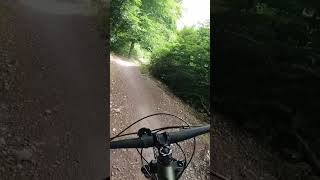 Orbea Laufey hardtail smashing up the blue trail at Queen Elizabeth country park [upl. by Attemaj]