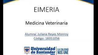 Eimeria  Parasitologia Veterinaria [upl. by Ahsitra]