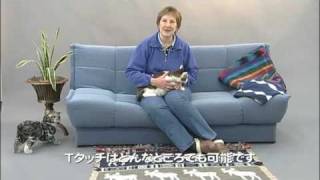 TTouch for Cats in Japan 猫のためのＴタッチ [upl. by Chemush]