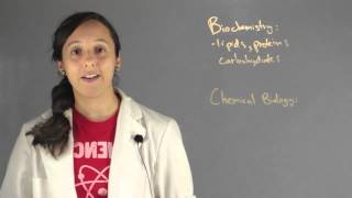 The Difference Between Biochemistry amp Chemical Biology  Chemistry Lessons [upl. by Allecnirp]