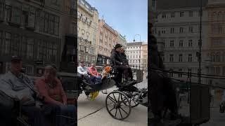 Discover The Magical Horse Carriage Tours Of Vienna City Center Austria 🐎✨ Dont Miss Out [upl. by Terces]