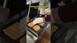 Commercial Waffle Machine  Industrial Waffle Making Machine [upl. by Einnaf466]