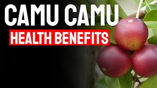 Benefits Of Camu Camu amp Why You Should Add It to Your Diet [upl. by Noraa]